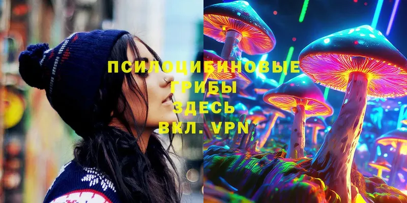 купить   Нестеровская  Галлюциногенные грибы Psilocybe 